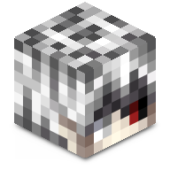 chickensoup3