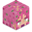 _Kappe_