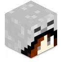 Skeleton_exe
