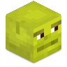 _Neto_