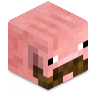 TM_SpigRacer