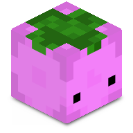 DasSagIchOpa