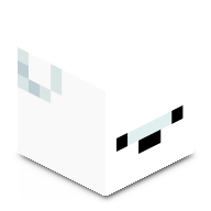 Leocoout