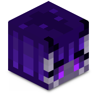 Shadow_Rose