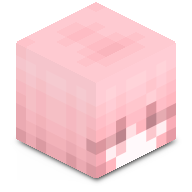 sp9z