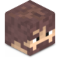 vigoss