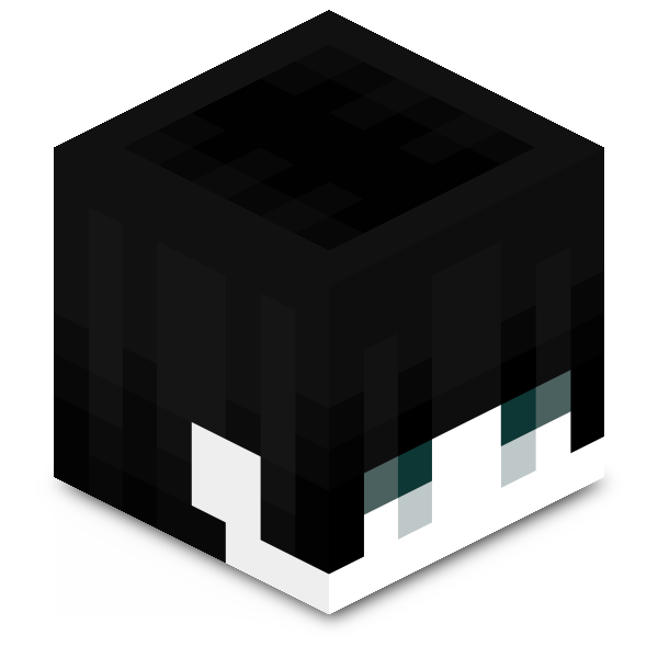 w4joo Minecraft head